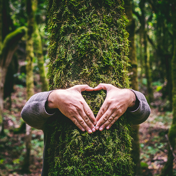 rispettare l'ambiente con il rifacimento dei divani
